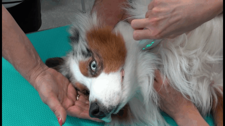 Vagusstimulation am Hals bei Lars